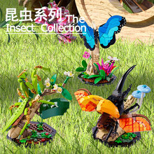 兼容乐高21342创意IDEAS昆虫蝴蝶中华大刀螳螂犀金龟拼装积木玩具