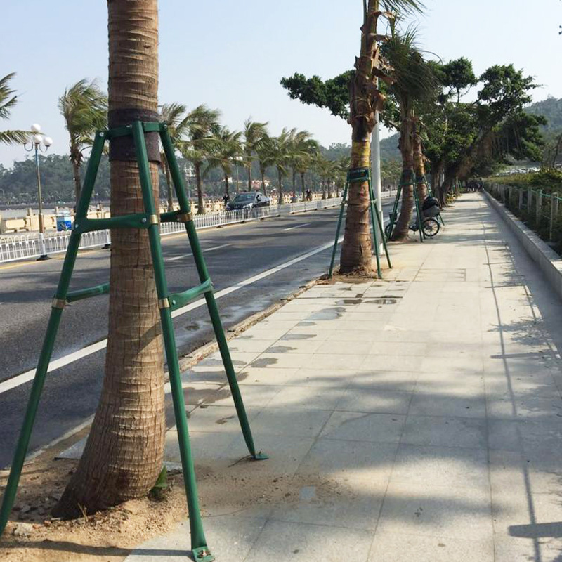 树木支撑杆大树支撑架绿化树木固定支撑杆防倒支撑杆镀锌管支撑架