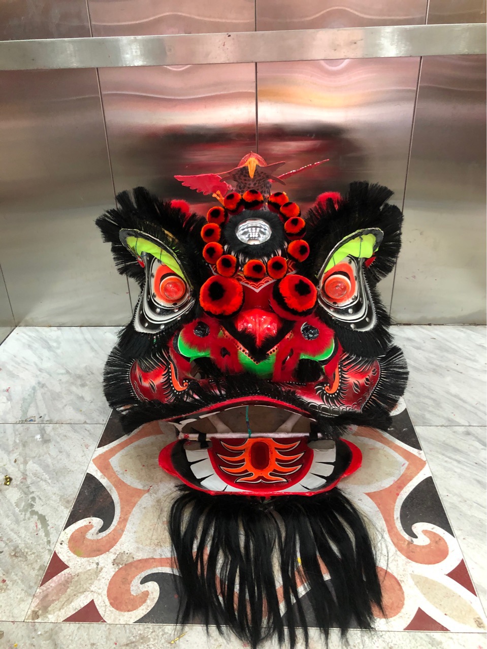 醒狮 传统狮 舞龙舞狮