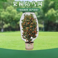 【1.77元新人专享】防虫网罩纱网种菜果树大棚菜园蓝莓庭院防鸟网
