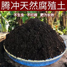 云南森林腐叶土养花种菜种植土壤通用型营养土腐熟松针腐殖土