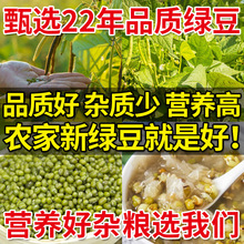 2023东北绿豆新货优质5斤批发农家绿豆粥绿豆汤杂粮笨绿豆糕250g