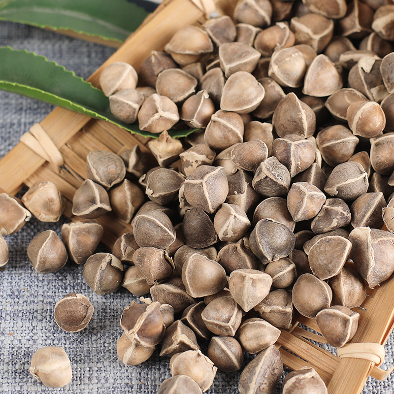 中药材 进口辣木籽 印度非洲辣木子 500克相似店铺>