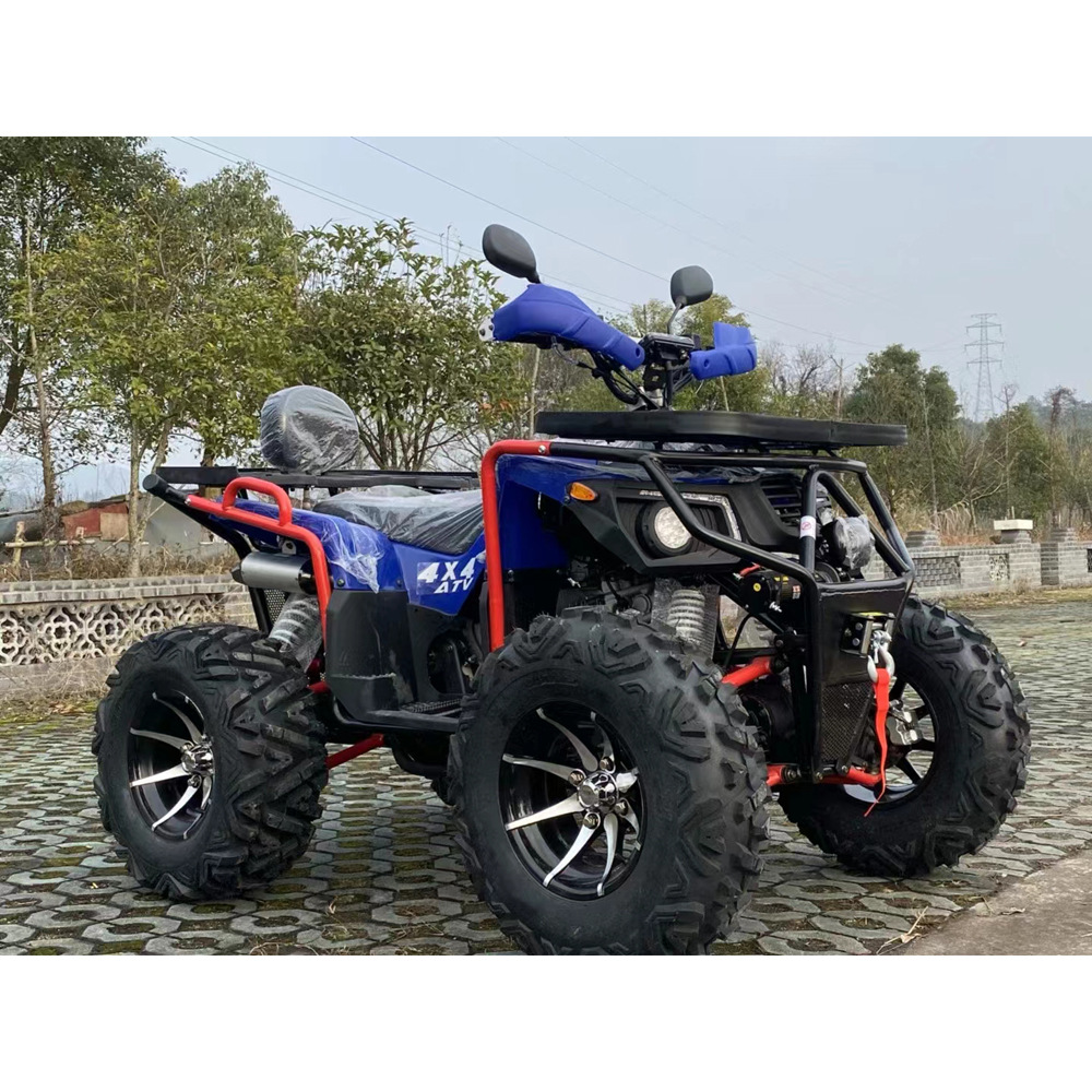 跨骑四驱越野沙滩车 把手汽油350cc的沙滩车 户外游玩爬坡车-阿里巴巴