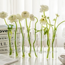 法式一排试管花瓶摆件客厅插花玻璃透明感水养洋牡丹鲜花高低细长