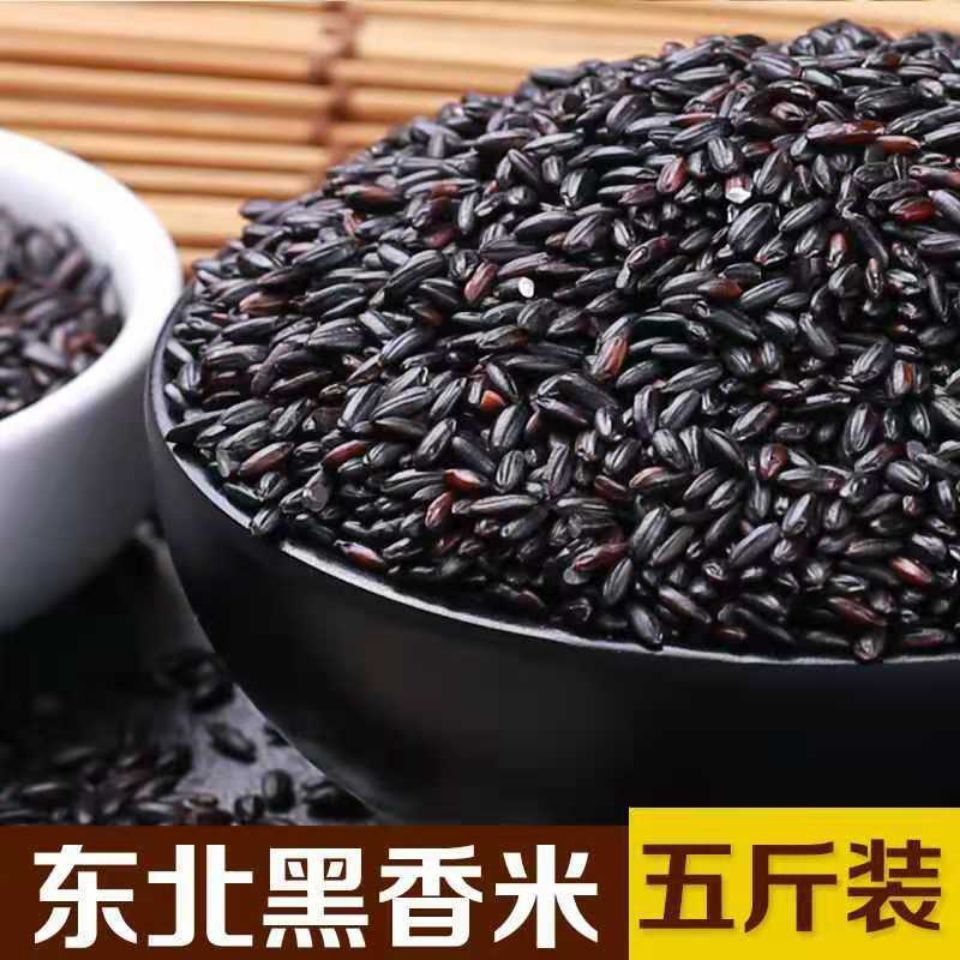 优质黑米