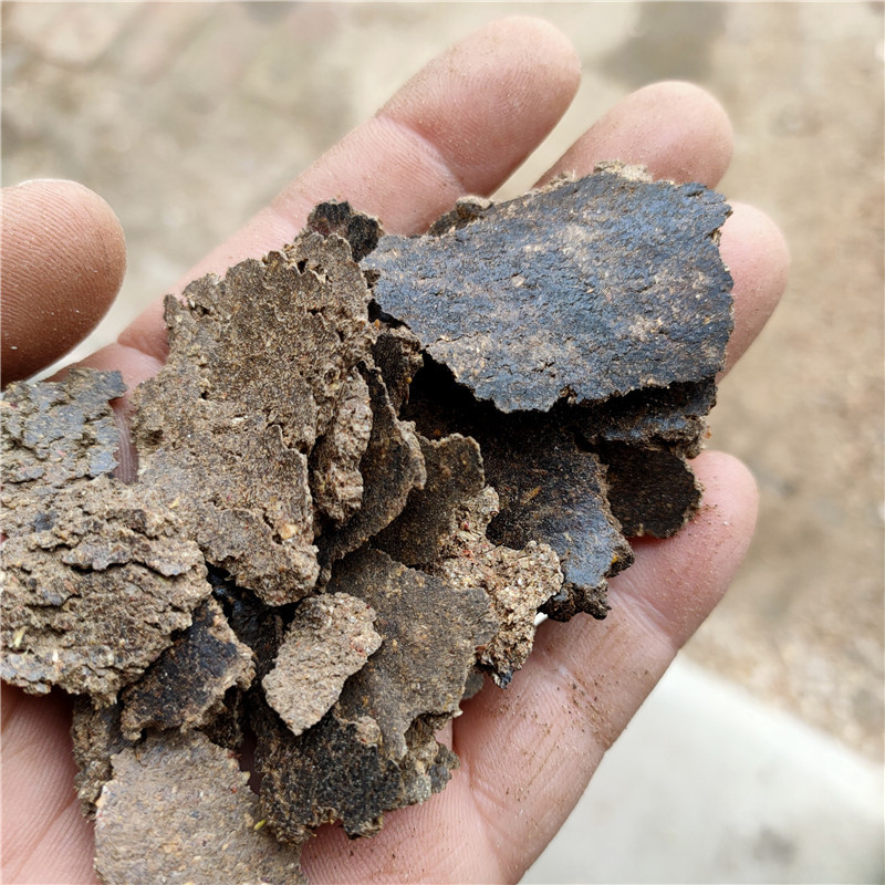 厂家现货供应胡麻饼 亚麻籽饼 添加辅料亚麻籽饼 植物性饲料