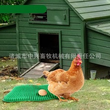 散养蛋鸡塑料草垫塑料鸡巢蛋箱垫子标准尺寸蛋箱草垫