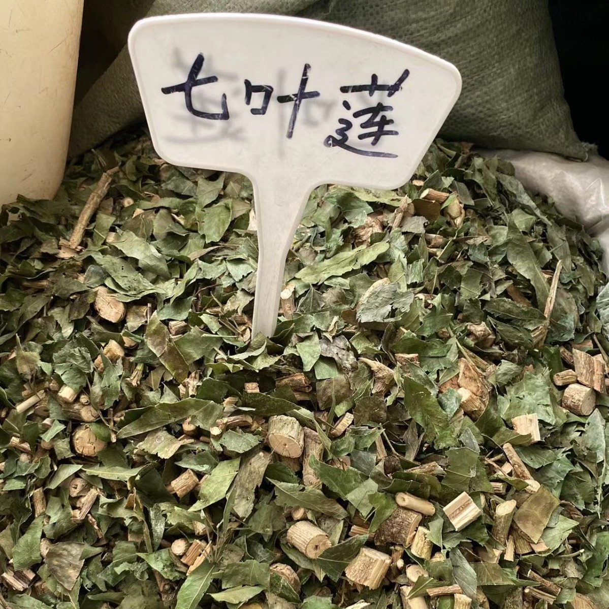 七叶莲,龙爪叶,多蕊木,龙爪树,大七叶莲等-阿里巴巴