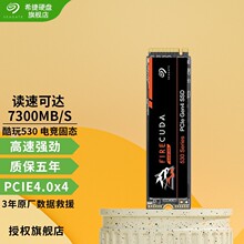 适用电竞 希捷酷玩530 M.2 NVMe PCIe4.0x4 FireCuda电竞游戏固态