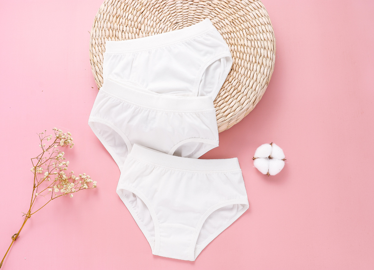 舞蹈内裤 不透底 白色三角 盛特士儿童内裤 女童棉 两条盒装内裤