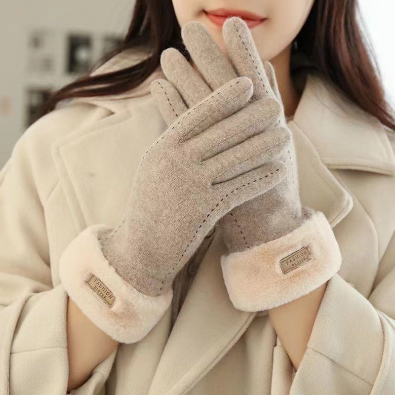 New Autumn and Winter Dralon Warm Gloves Women's Telefingers Gloves Fleece-lined Suede Gloves Wholesale Touch Screen Gloves