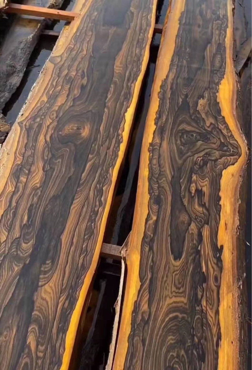 黑柿木 黑柿木原木木材 雕刻工艺品diy黑柿木木料 一手货源