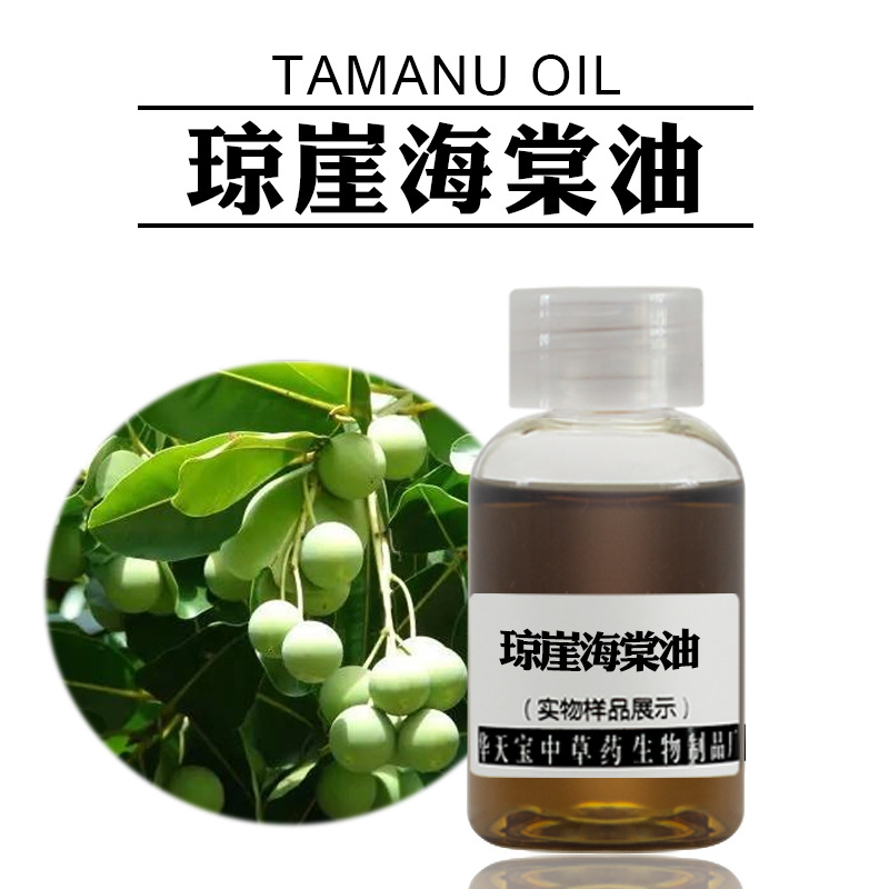 琼崖海棠油 1kg 冷压榨琼崖海棠油 tamanu oil 天然伊若菲伦油厂