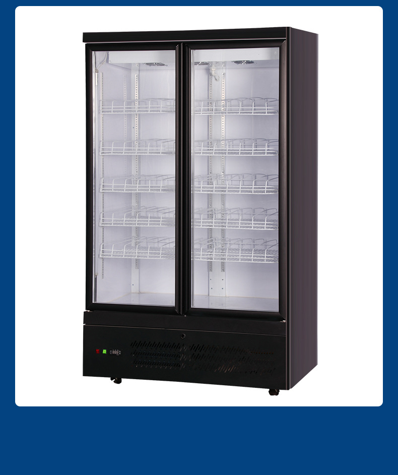 隆雪商用冷冻展示柜速冻食品制冷柜冷鲜肉立式冰柜双门熟食风幕柜