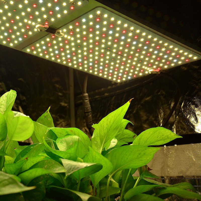 新款led植物生长灯 量子板植物灯 quantum board植物灯板防水补光