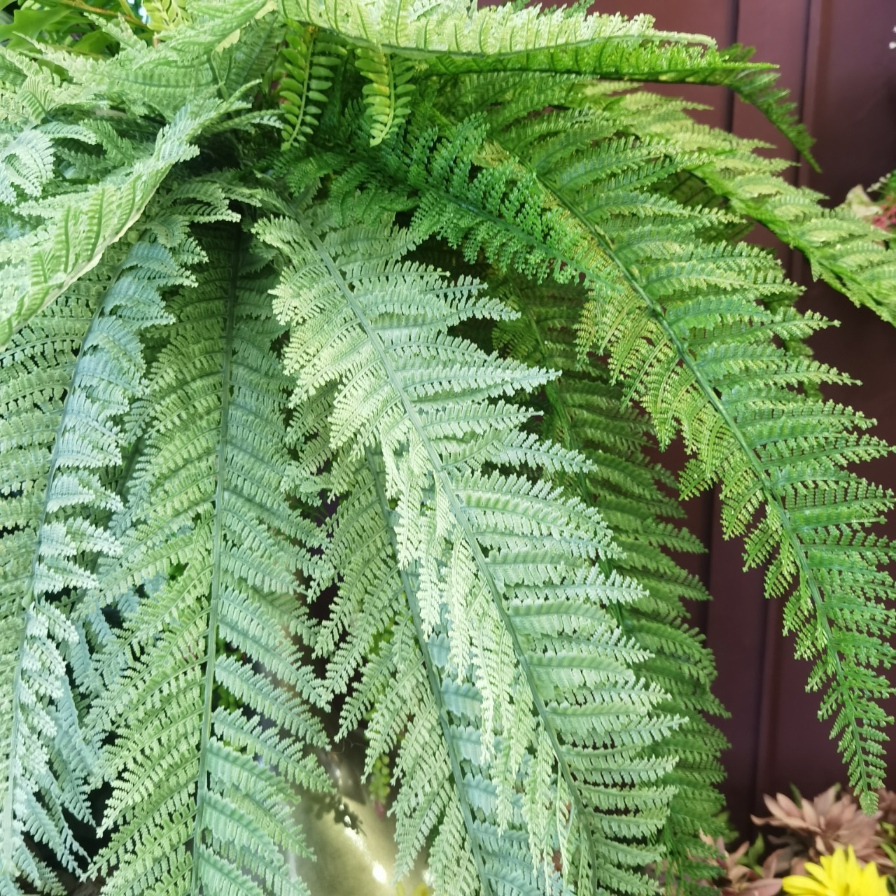 11片加长波斯叶蕨叶草新中式家居样板间酒店植物墙装饰仿真植物