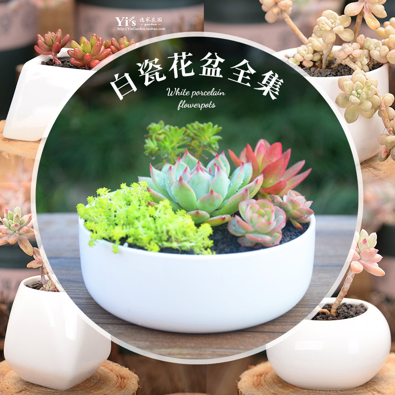 小口径组合陶瓷花盆通用透气花盆特价创意绿植迷你清仓多肉大其他