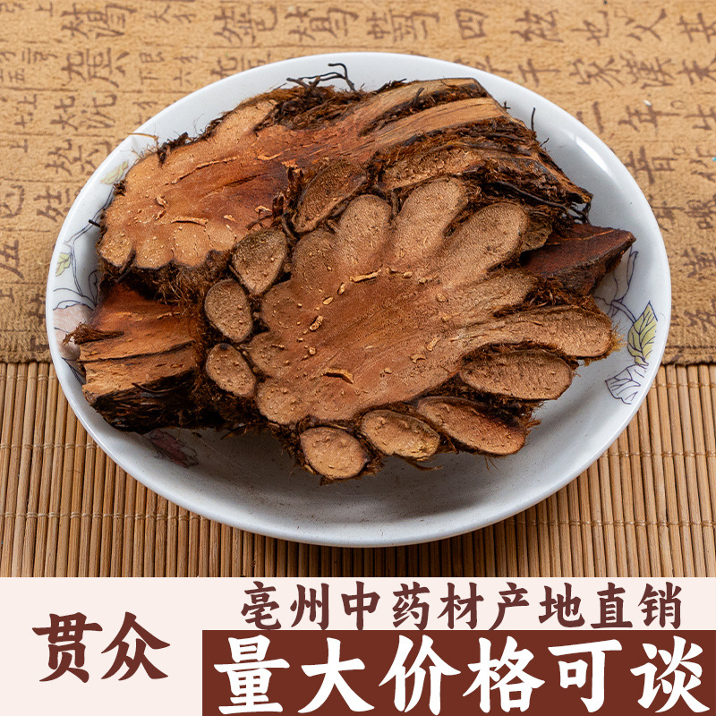 贯众 正品 绵马贯众 贯节 贯仲贯渠亳州中药材批发中草药药食同源