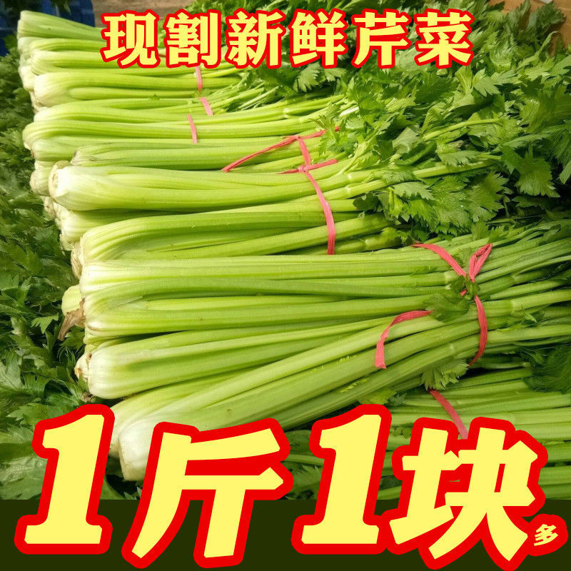 【超低价】新鲜芹菜当季蔬菜农家小西芹菜嫩空芯青菜香芹芹菜批发