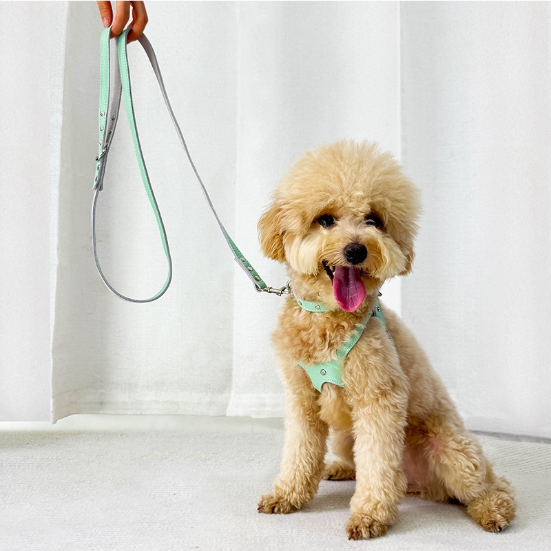 批发潮牌BB胸背带猫咪狗狗背心式不卡脖中小型犬宠物项圈用品跨境