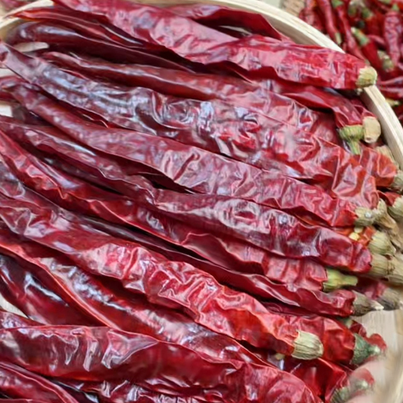 微辣特香干辣椒贵州二荆条灯笼椒子弹头河南新一代四川干海椒商用