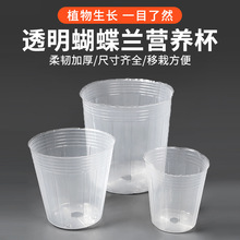 5寸蝴蝶兰营养杯塑料软花盆防尘盖加厚营养钵袋石斛兰透明育苗杯