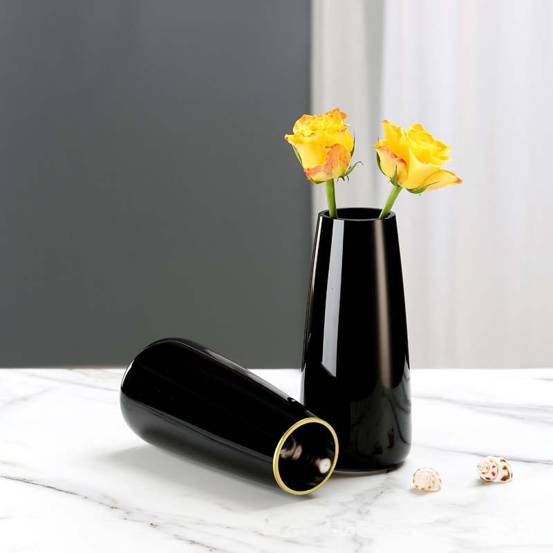 Internet Celebrity Nordic Imitation Porcelain Glass Vase Decoration Simple Living Room Transparent Hydroponic Flower Arrangement Flower Ware Dining Table Home