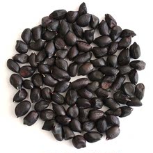 黑花生种子21新货云南生米带壳生的种子黑皮花生黑紫种籽2022批发