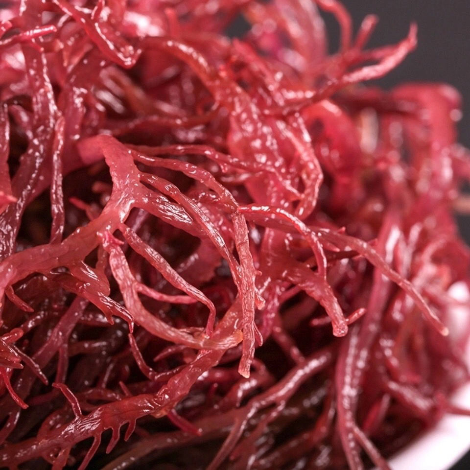5斤包邮紫晶藻海草龙须菜龙须菜海草海石花鹿角菜海藻菜丝凉拌菜