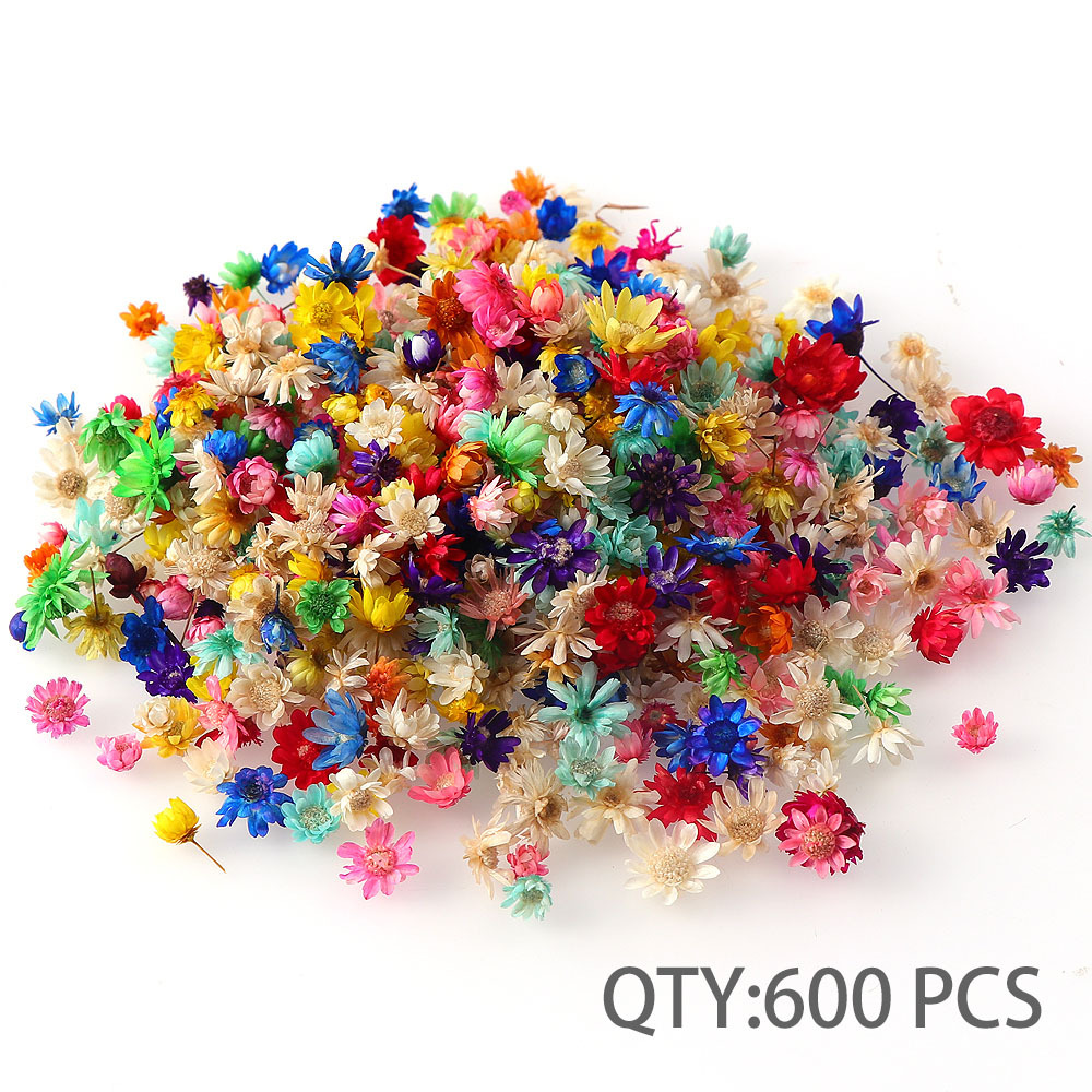 New Natural Little Star Flower Head DIY Garland Home Crystal Glue Filler Wedding Celebration Decoration Dried Flower Material