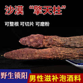 8%续阳草顶天柱菘茯男性泡酒料锁阳肉苁蓉不老草煲汤泡水可打粉昆明市