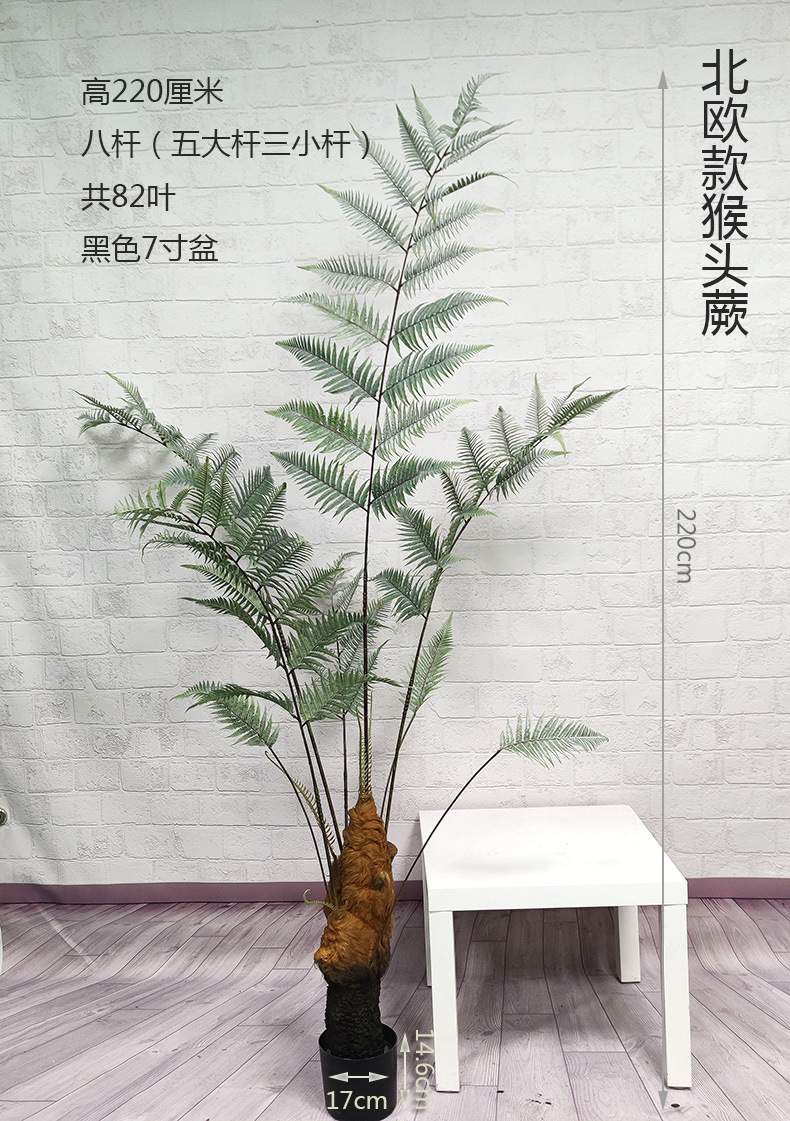 全国包邮猴头蕨植物盆栽金丝猴草假树室内禅意绿植摆件家居饰品
