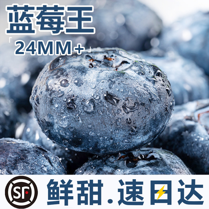 蓝莓鲜果水果现货新鲜蓝莓现摘现发水果宝宝辅食盒盒盒厂批发