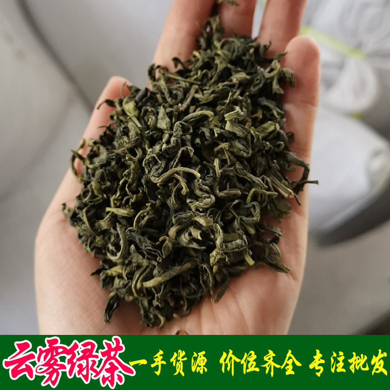 2023浙江绿茶散茶叶 劳保茶 高山云雾绿茶 有机茶之乡松阳香茶