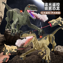 跨境五通道遥控喷雾迅猛龙追光感应声光仿真恐龙动物模型电动玩具