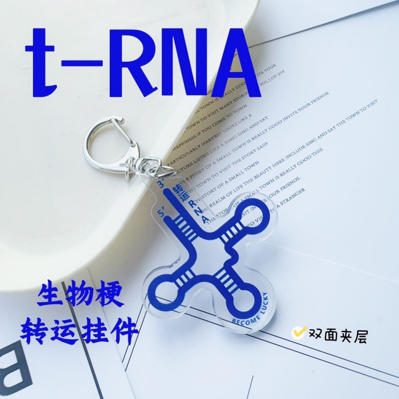 转运rna挂件亚克力trna双面生物科研趣味搞怪钥匙扣礼物-阿里巴巴