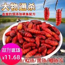 Silkworm chrysalis fishing supplies a complete list of wild