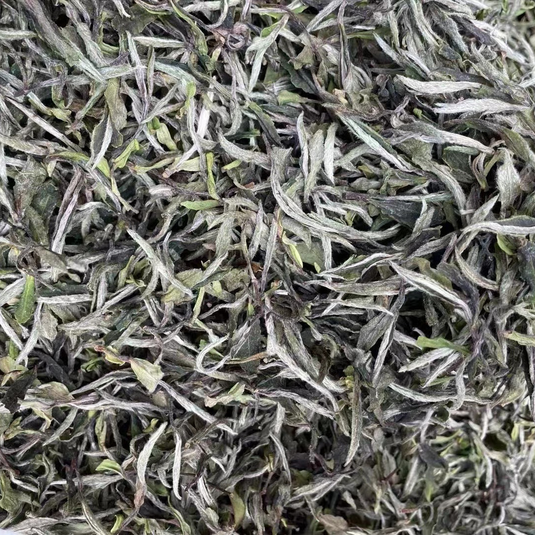 2022年新茶大毫白牡丹白茶散装批发福建高山日晒花香白牡丹500g