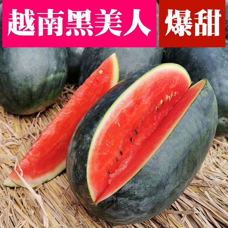 越南进口应季黑美人西瓜 包沙包甜 当季新鲜热带水果小批发多规格