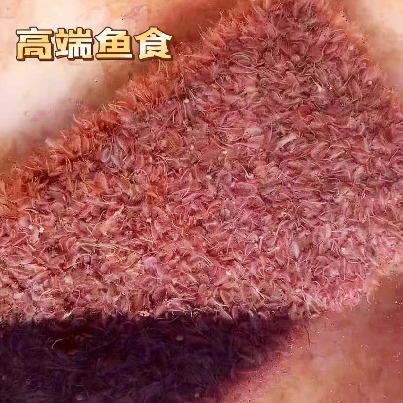 冰冻丰年虾热带鱼大型鱼虾鱼食饲料渤海湾丰年虾500g鱼缸小型家用