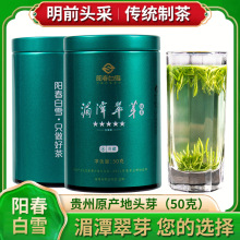 24年新品阳春白雪绿茶50g 贵州茶叶湄潭翠芽铁罐装小克重绿茶批发