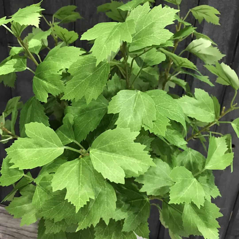 仿真木槿叶单支长杆三叉叶插花摆放新款绿植浅绿色假树叶婚庆装饰