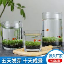 圆柱鱼缸桌面微景缸水草缸水培缸创意DIY居家水草泥种子籽造景