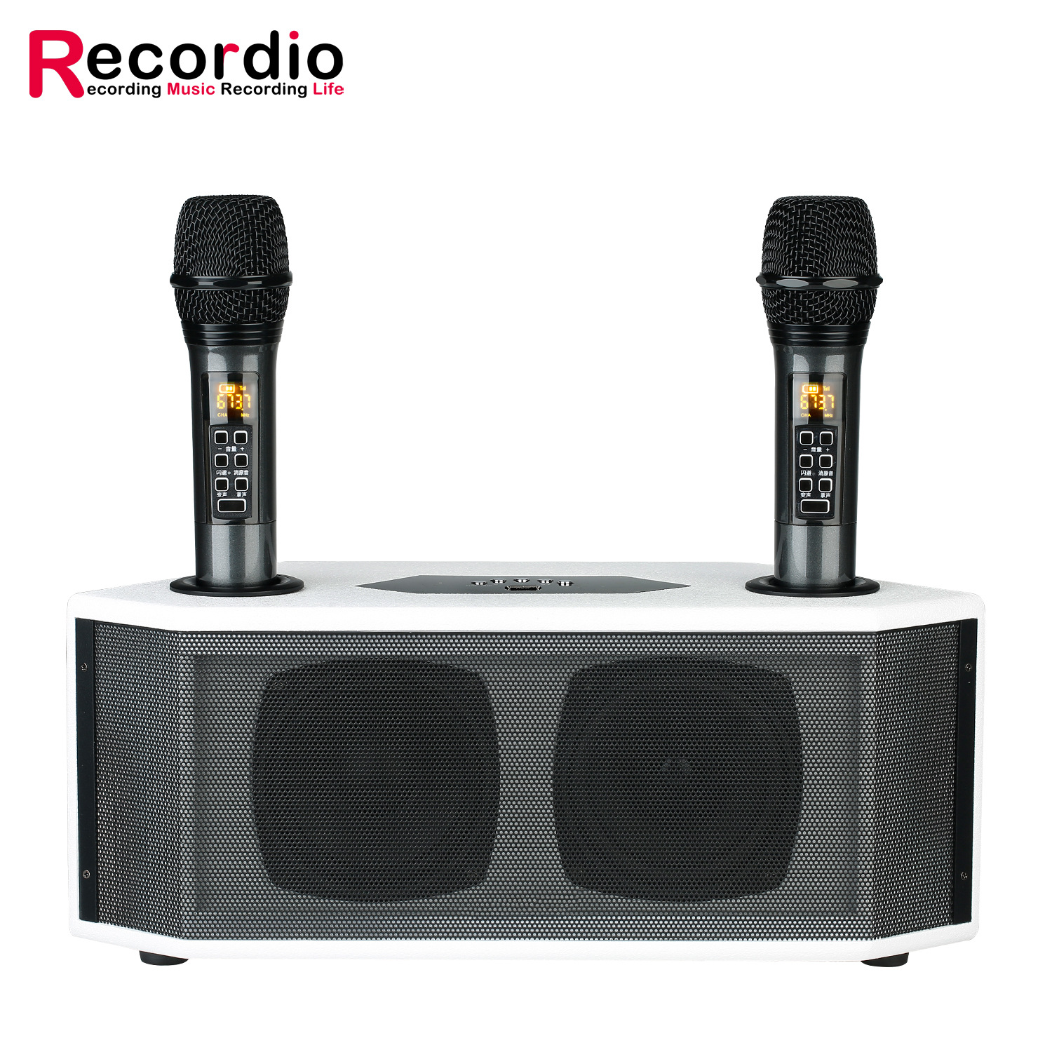 跨境无线麦克风一拖二uhf家用卡拉ok内置电池无线蓝牙音响一体机