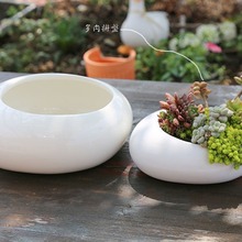 简约白色多肉陶瓷盆 创意椭圆形多肉拼盘花盆   北欧现代花盆