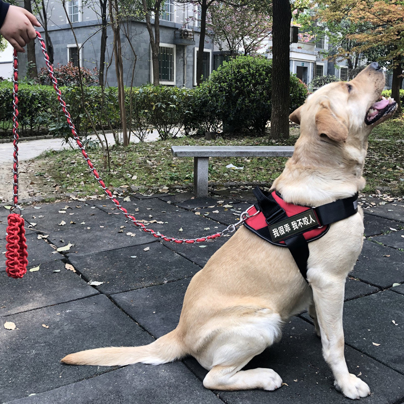 狗链子防咬牵引绳栓狗遛狗不勒手金毛拉布拉多中大型犬项圈胸背带