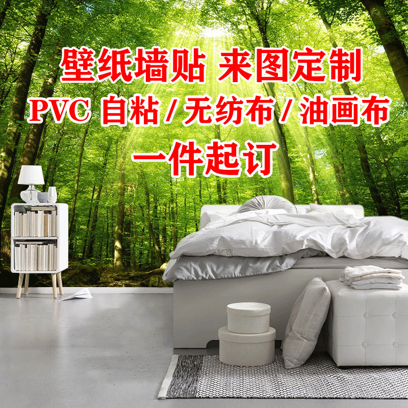 壁纸定制亚马逊外贸装饰画挂画pvc自粘无纺布油画布画芯壁画定制