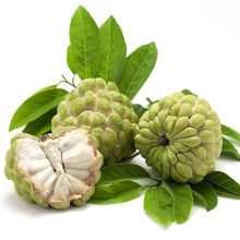 潮汕凤梨释迦果牛奶番荔枝新鲜甜水果大目释迦果林檎一整箱批发厂