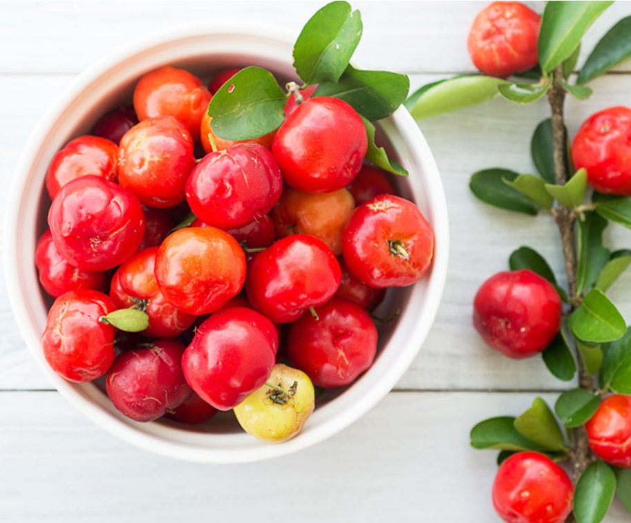 针叶樱桃粉17%vc | 巴西进口针叶樱桃提取物 | 水溶性天然vc
